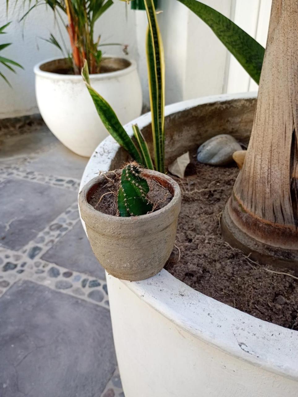 Hotel Casa