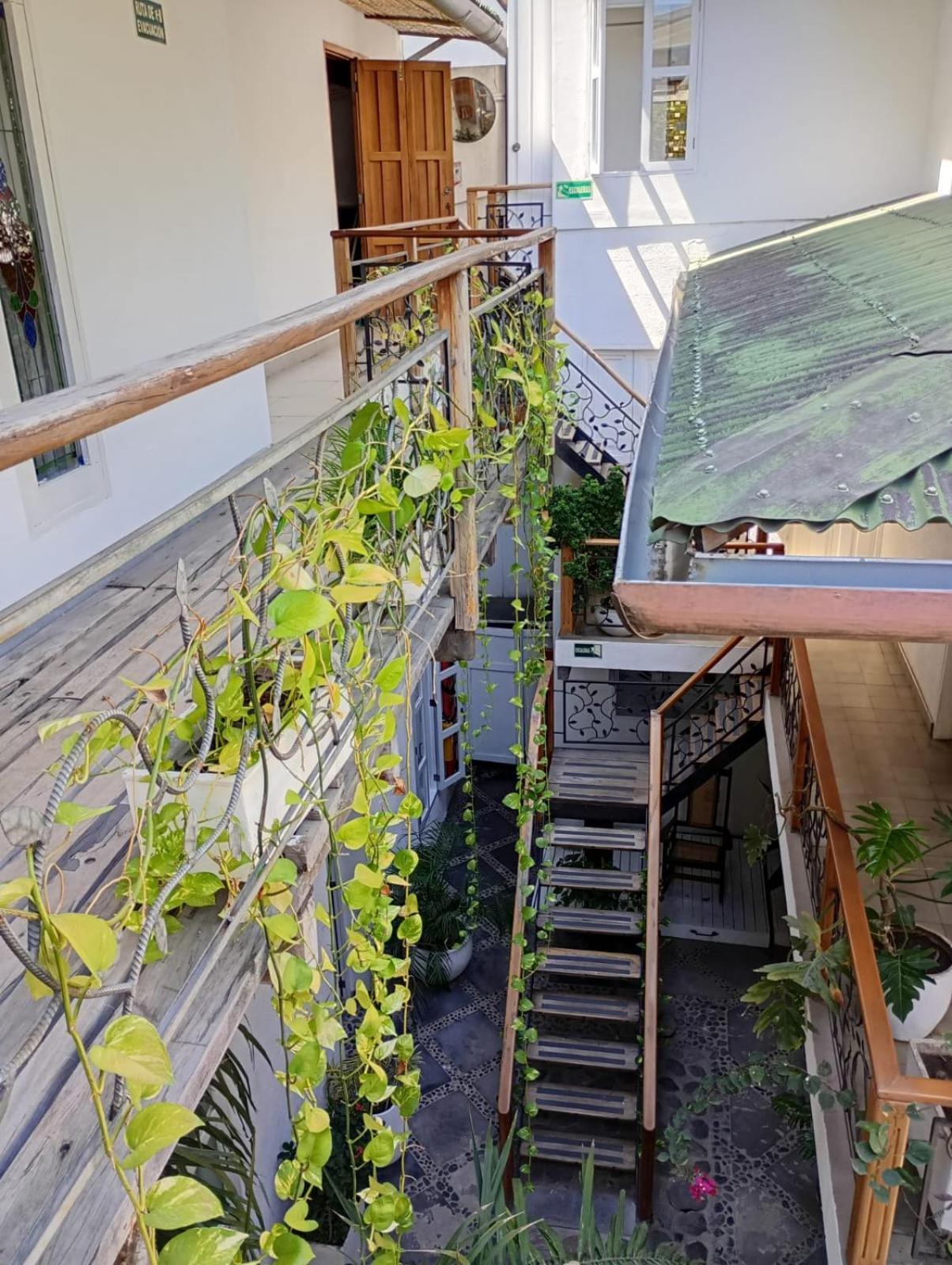 Casa 酒店